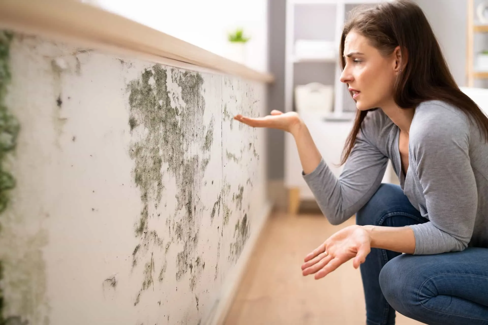 Mold Inspection at Your Home