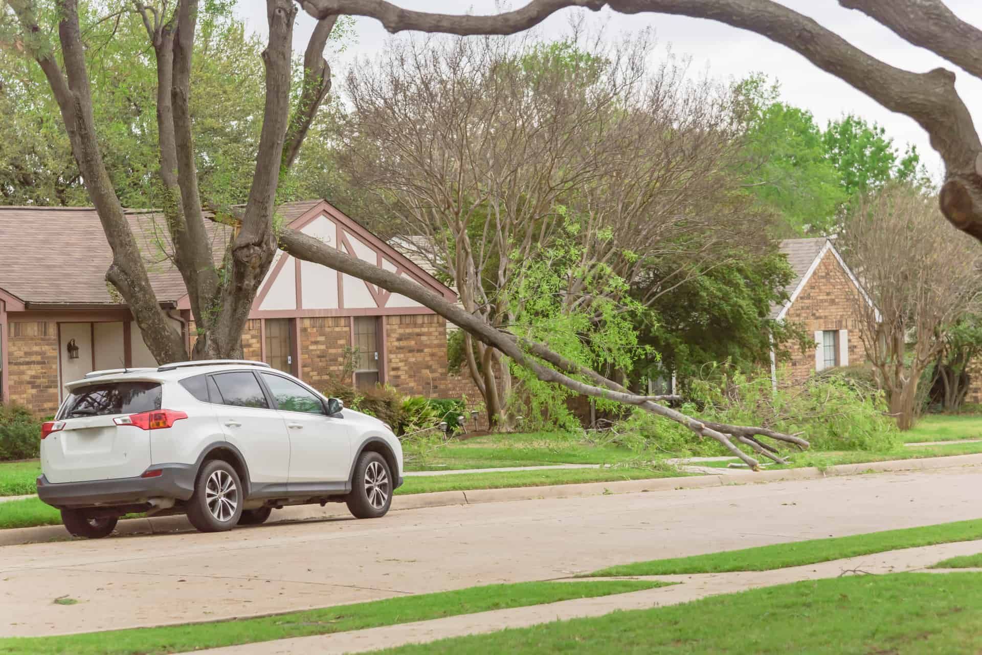 Wind Speeds Affect The Risk Of Home Damage