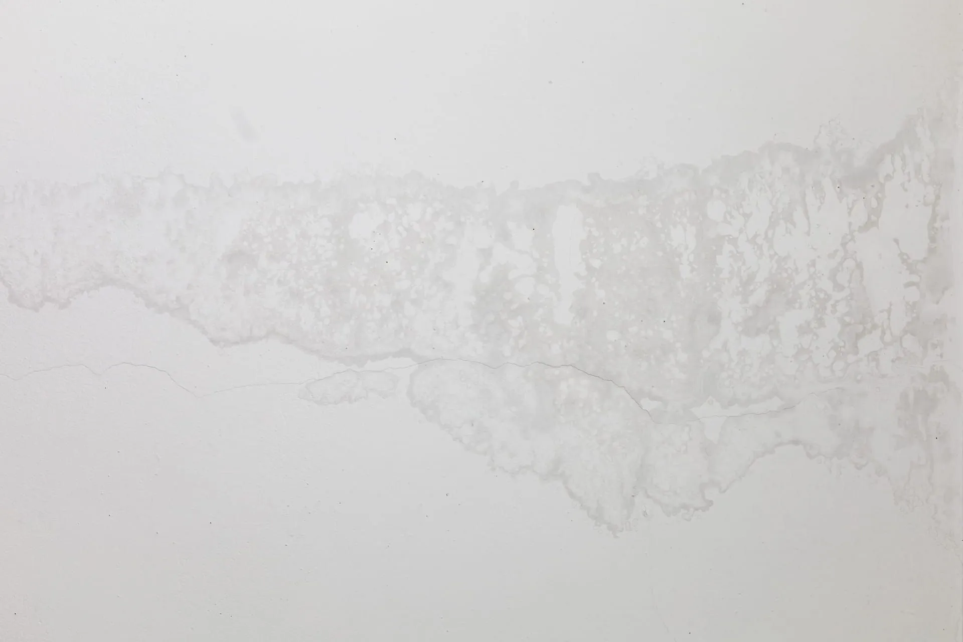 Detect Hidden Signs of Water Damage in Walls