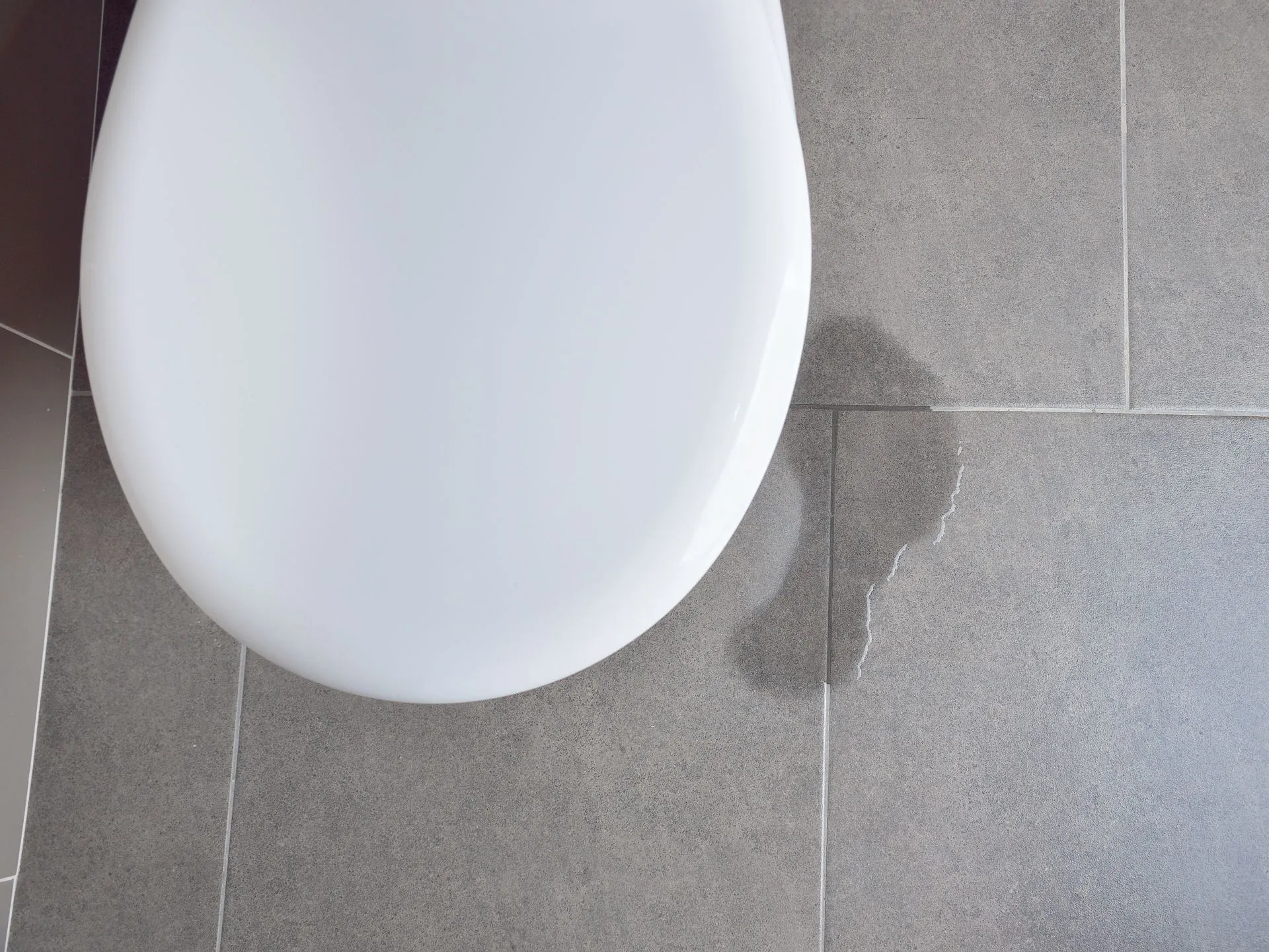 Toilet Leaking From Base