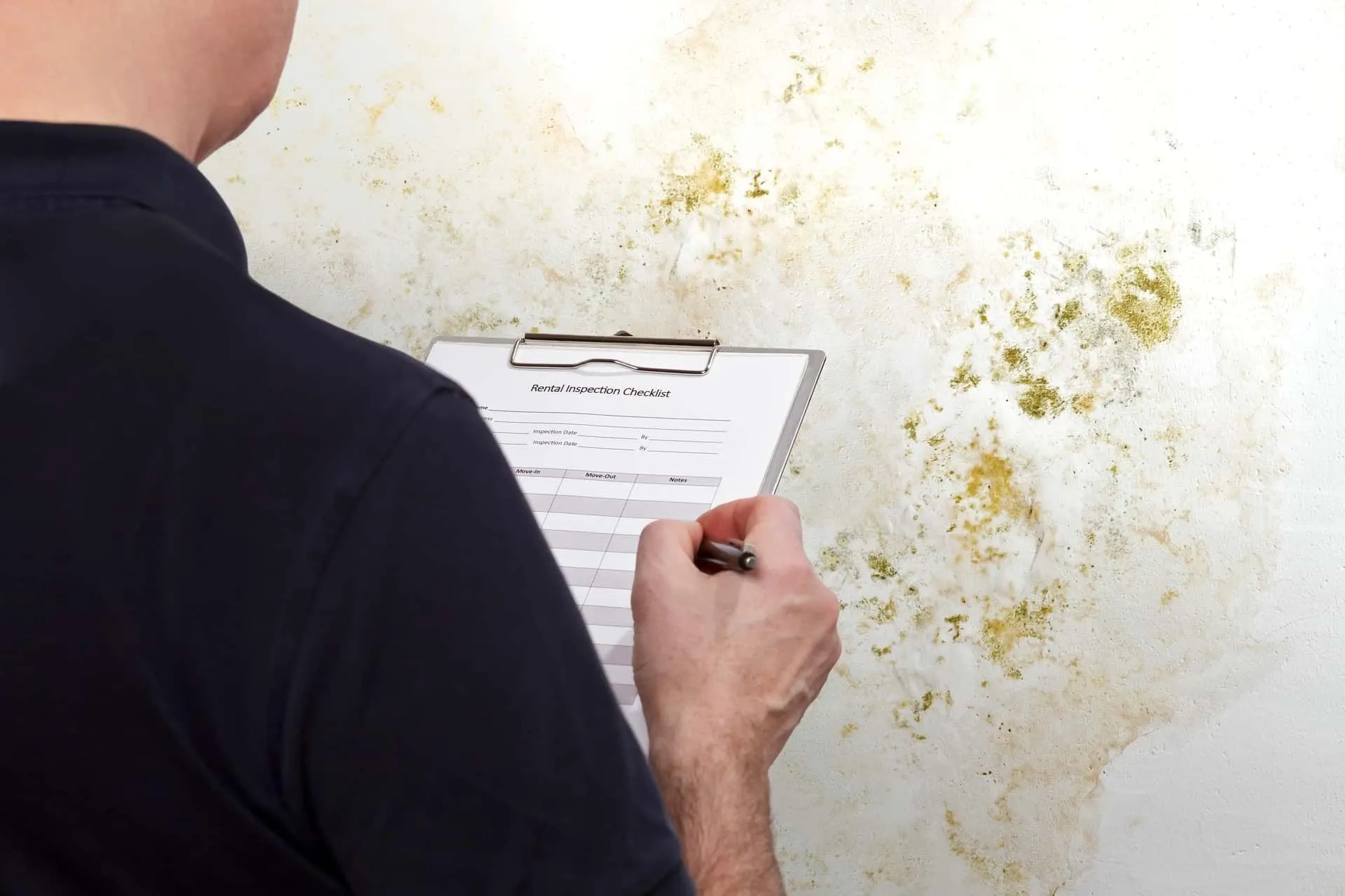 Mold Inspection and a VOC test