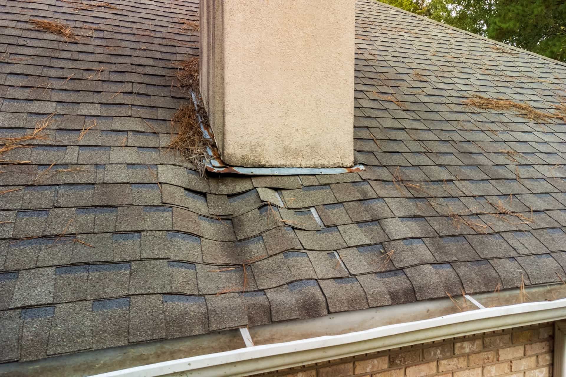 Water Damage Inspection