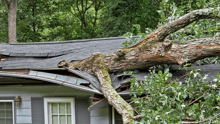 After Hurricane Improvements