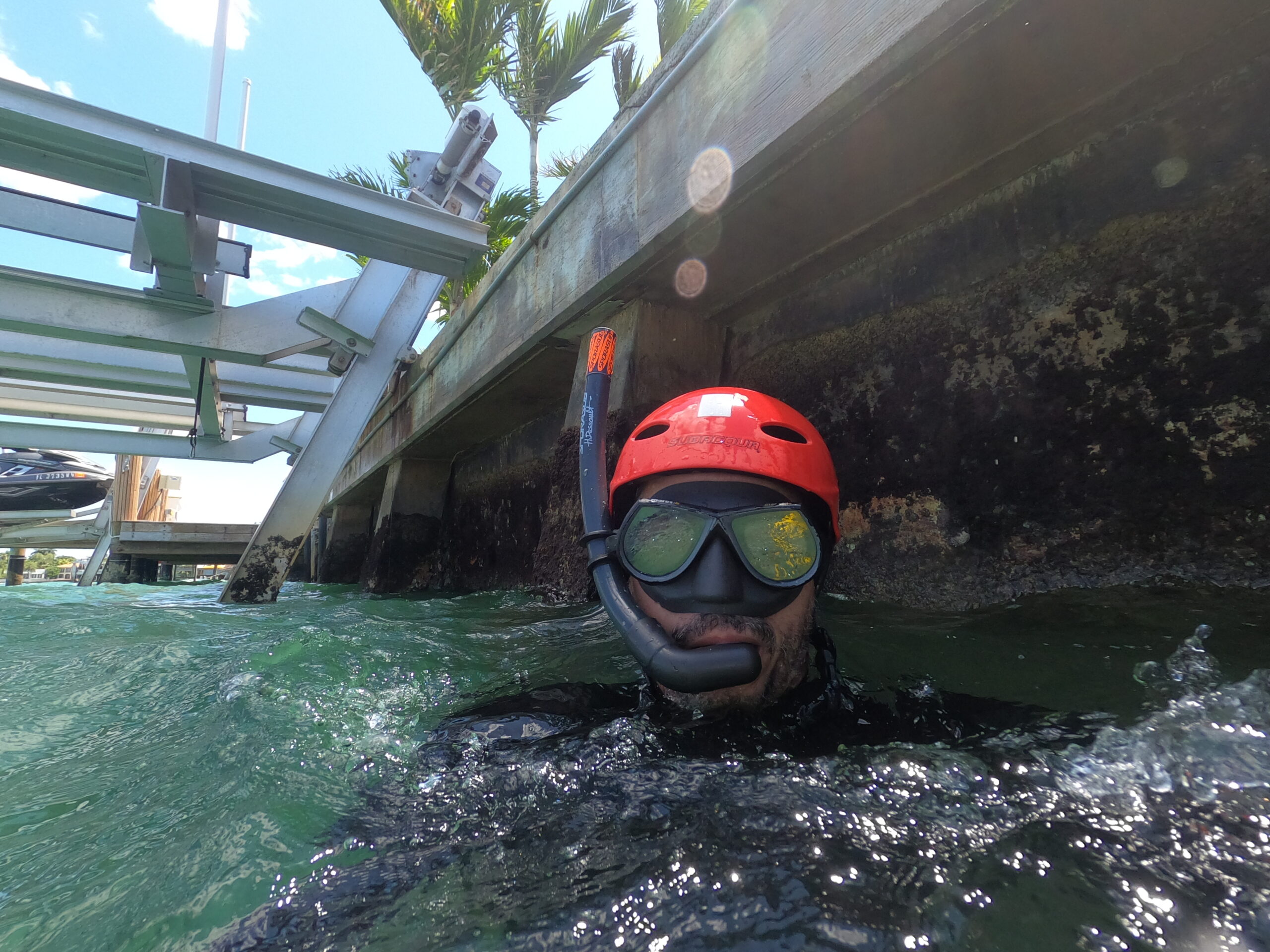 Person snorkeling under a dock