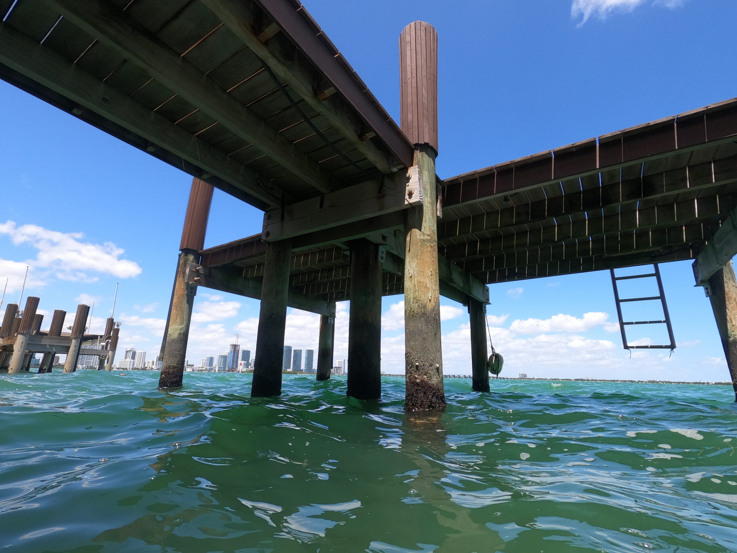 dock inspection south florida scaled