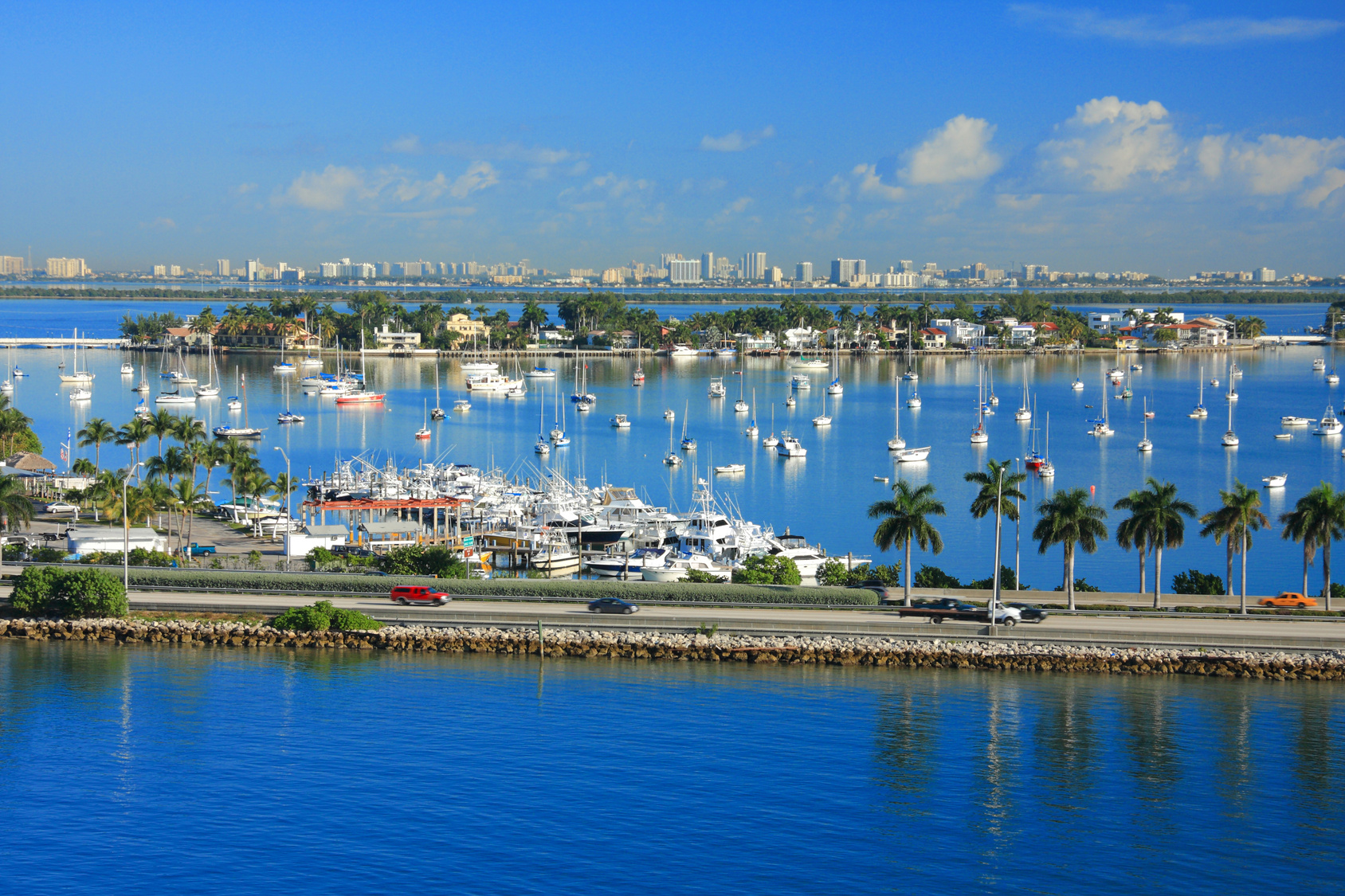 Scenic marina with boats and palm trees