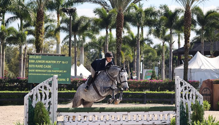 equestrian property inspection